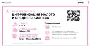 Субсидирование приобретения субъектами МСП российского ПО
