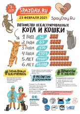 Совсем скоро наступит SpayDay - всемирный День кастрации / стерилизации домашних животных