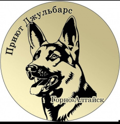 Забери друга из приюта