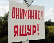 Что такое ЯЩУР?