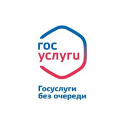 С 1 марта на Едином портале Госуслуг доступна бесплатная онлайн-выписка из ЕГРН
